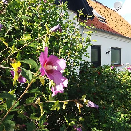 B & B Hygge Stoense Exterior foto
