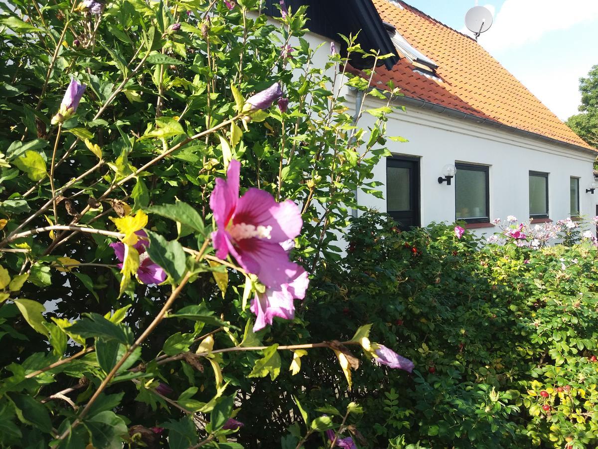 B & B Hygge Stoense Exterior foto